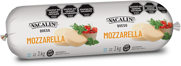Queso mozzarella – 3 kg
